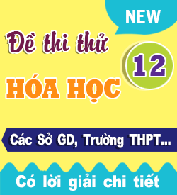 Đề thi thử THPTQG Hóa học